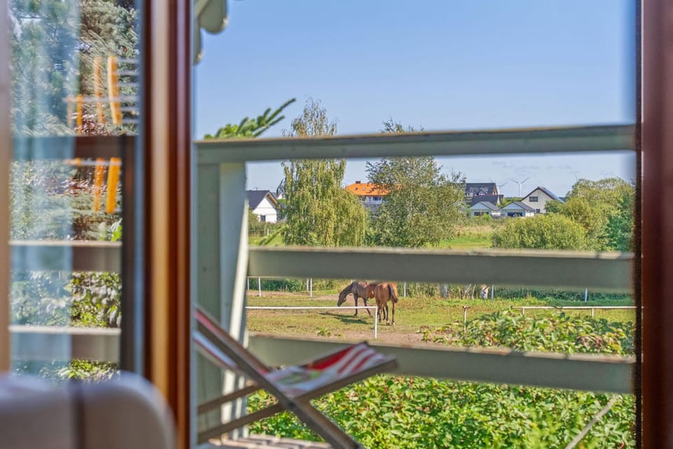 View from Holiday Home [summer]
