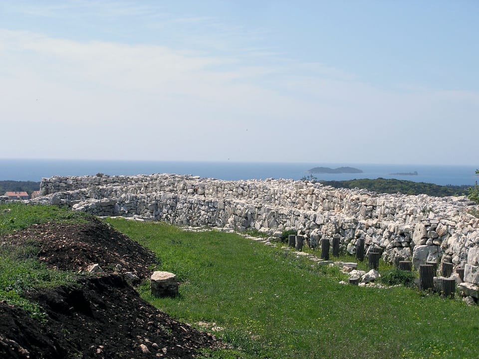 Miscellaneous