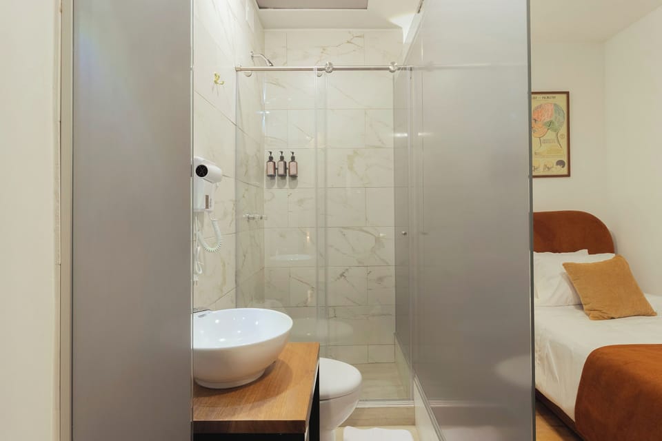 Deluxe Single Room | Bathroom | Shower, towels, soap, shampoo