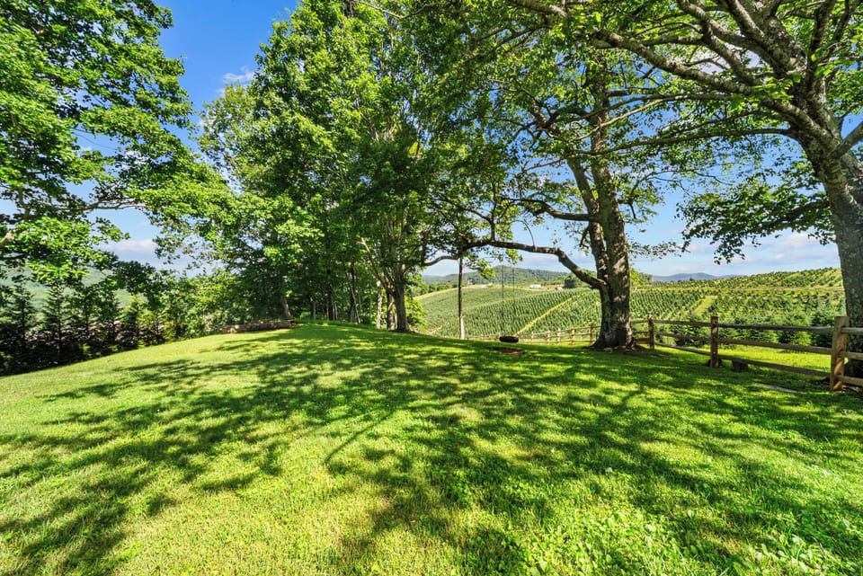 Enjoy Looking Over the Peaceful Neighboring Tree Farm