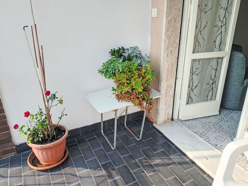 Flowerpot, Furniture, Composite Material, Houseplant, Outdoor Furniture, Concrete, Brick, Chair, Flagstone