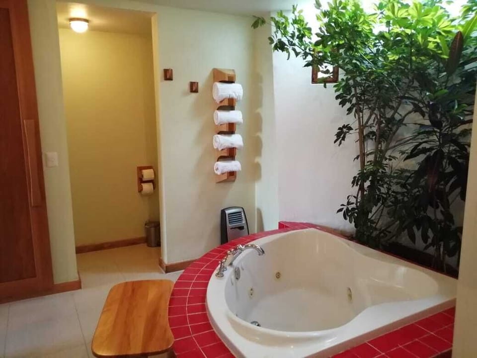 Superior Single Room, 1 King Bed, Jetted Tub | Jetted tub