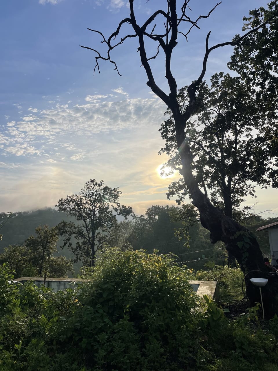View from property