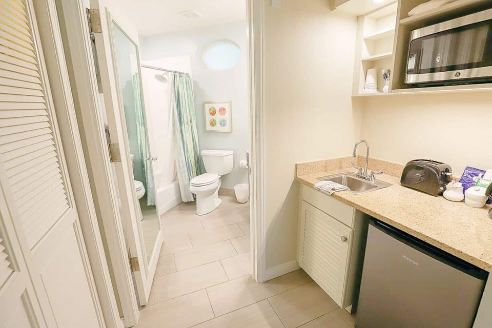Deluxe Studio • Kitchenette & Bathroom View