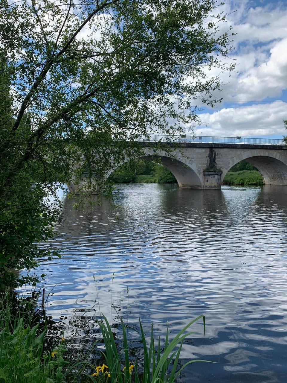 View from gite garden of the 1870 river bridge.