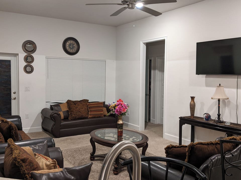 interior, indoor, climate control, couch, living area, television