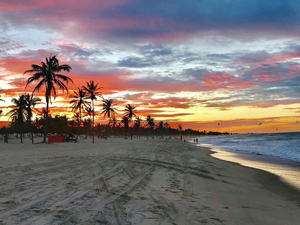 Palm-lined beach with breathtaking sunset views and peaceful shoreline strolls