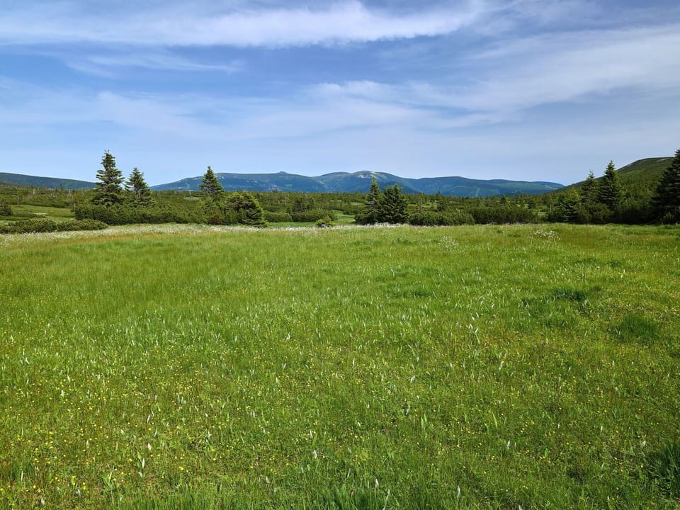 Sky, Green, Grass, Grassland, Natural Environment, Natural Landscape, Plain, Ecoregion, Hill, Pasture