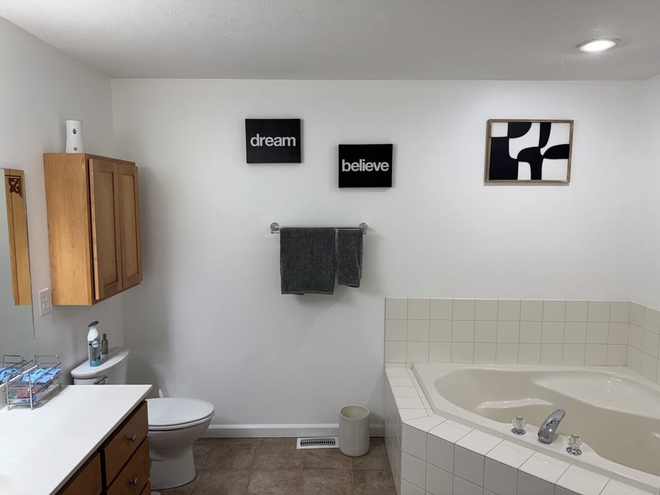 Master Bathroom Tub and Shower 