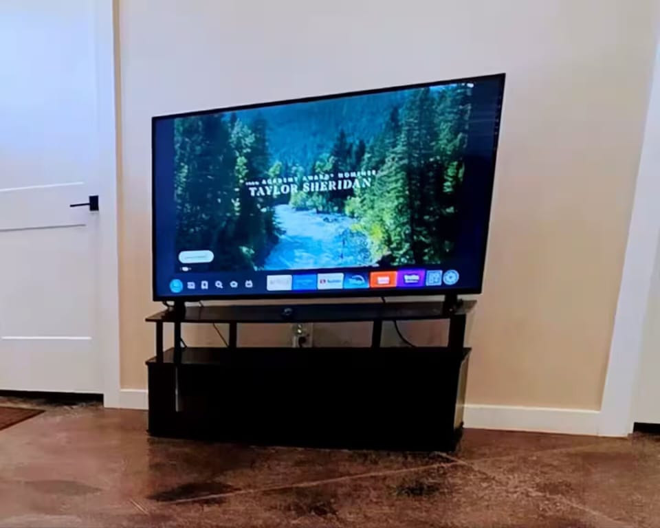 Television