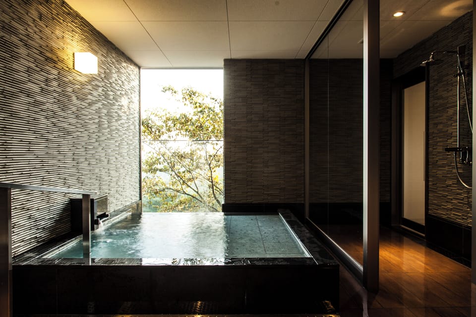 Combined shower/tub, spring water tub, designer toiletries, hair dryer