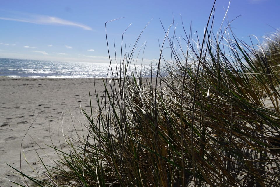 Apartment | Beach