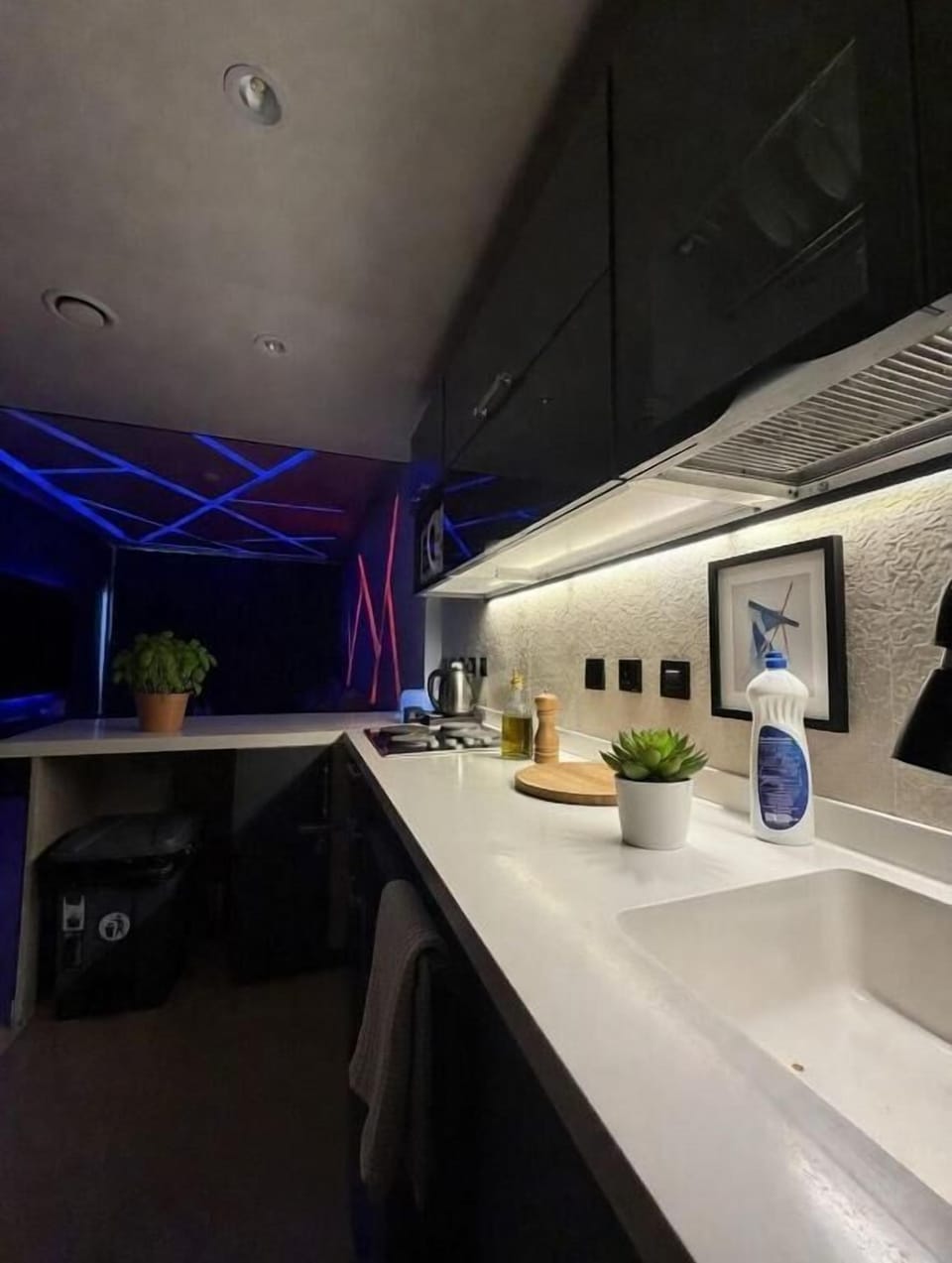 Deluxe Suite, Balcony, Sea View | Private kitchen