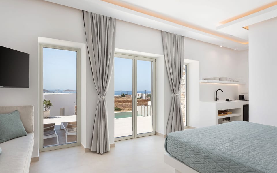 Executive Suite | View from room