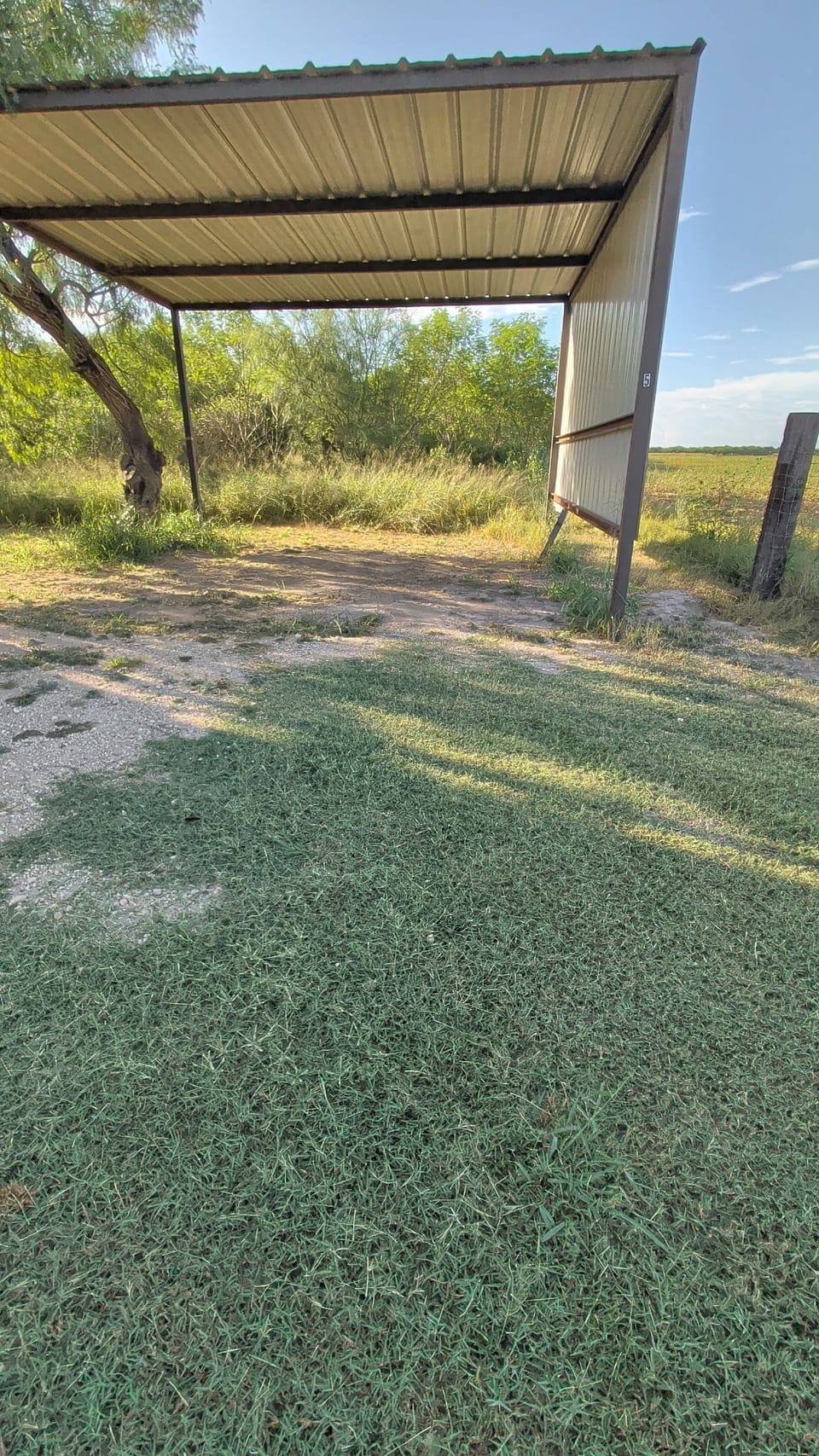 Property grounds