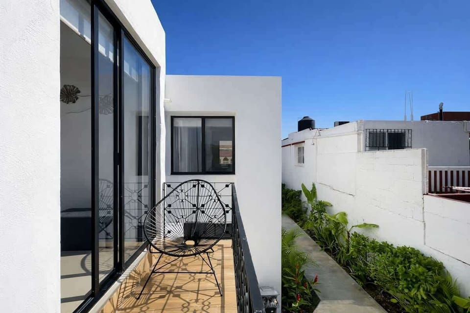 Shared garden and patio with tropical plants