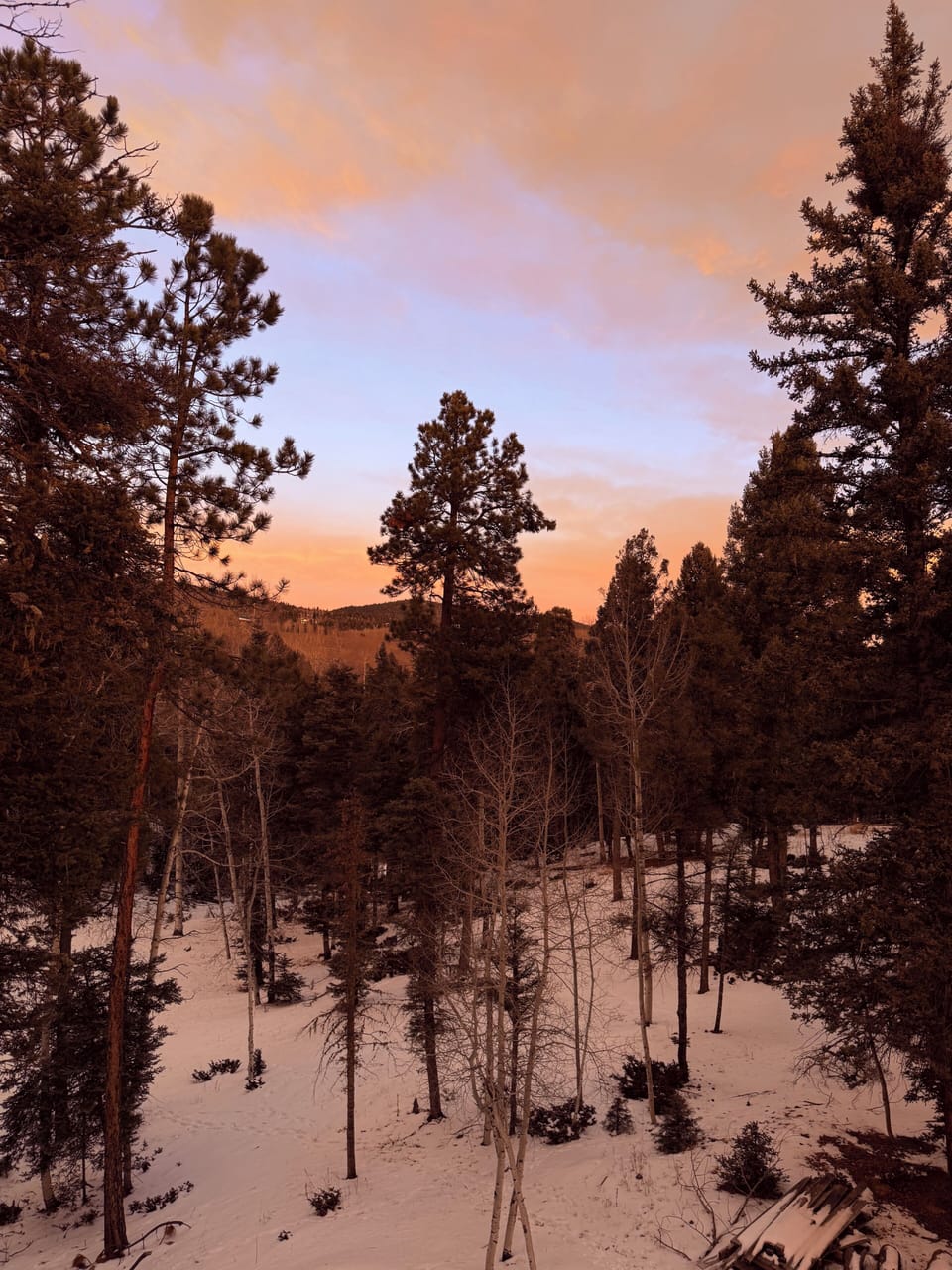 Miscellaneous