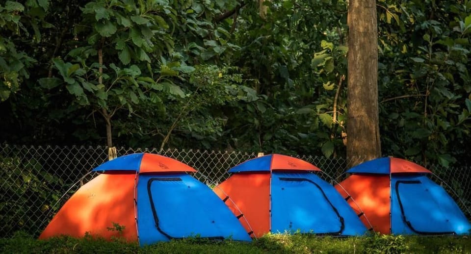 Basic Tent | Property grounds