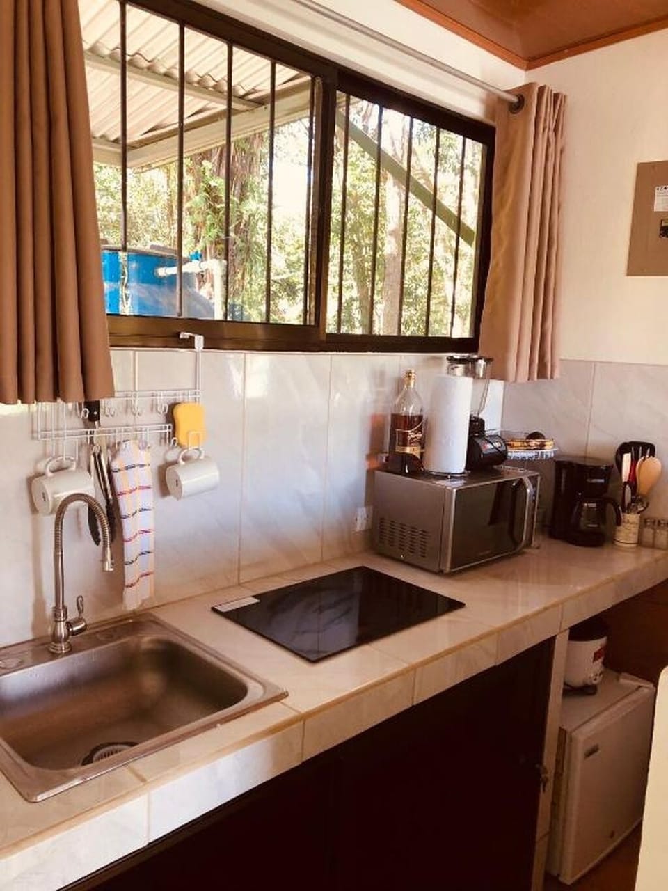 Howler Monkey | Private kitchen