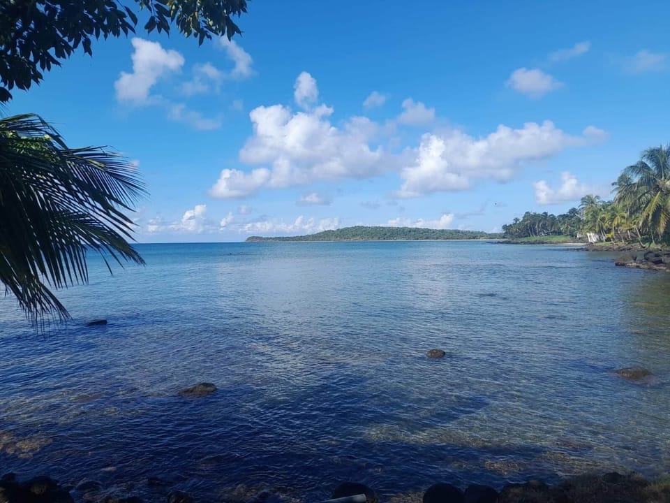 Ocean View
