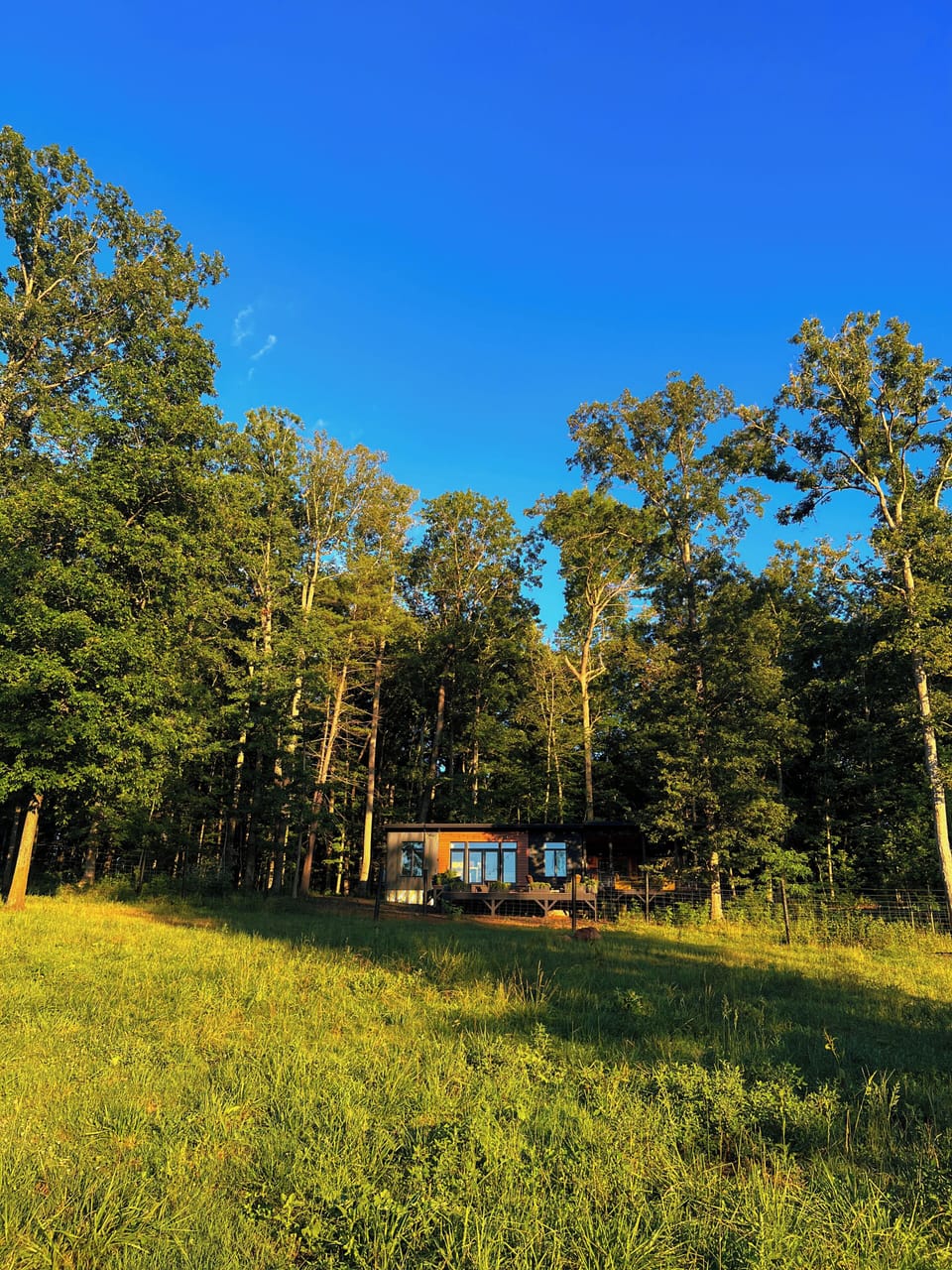 Secluded modern cabin framed by forest and sunlit meadow views