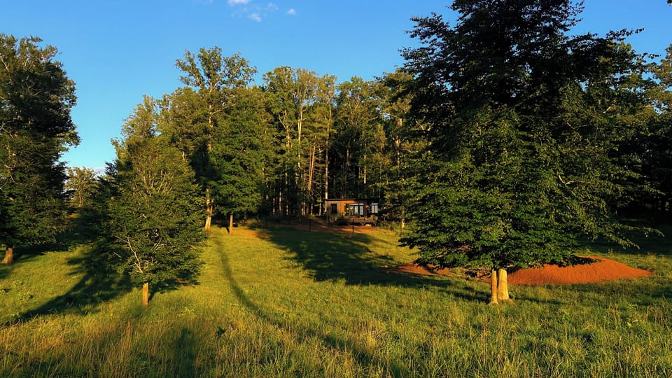 Peaceful woodland retreat with open meadow views and total privacy