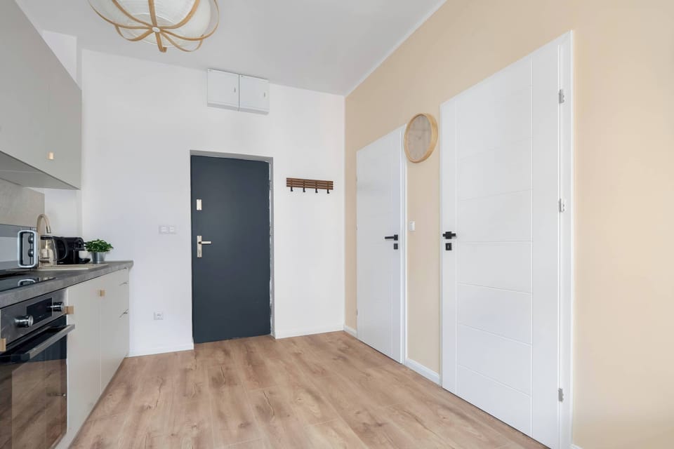 The apartment entryway features a dark front door and white interior doors leading to separate rooms on light wood flooring.