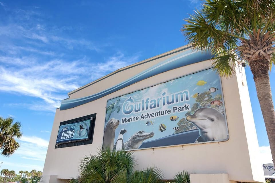 Meet dolphins, sea lions, turtles, and other marine life at Gulfarium Marine Adventure Park, a favorite family attraction located just minutes from your stay.