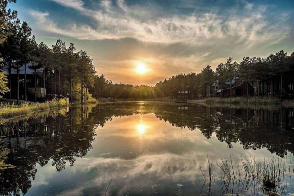 The pond across the street from the cabin. Our guests can fish here with a permit as long as the fish are released.