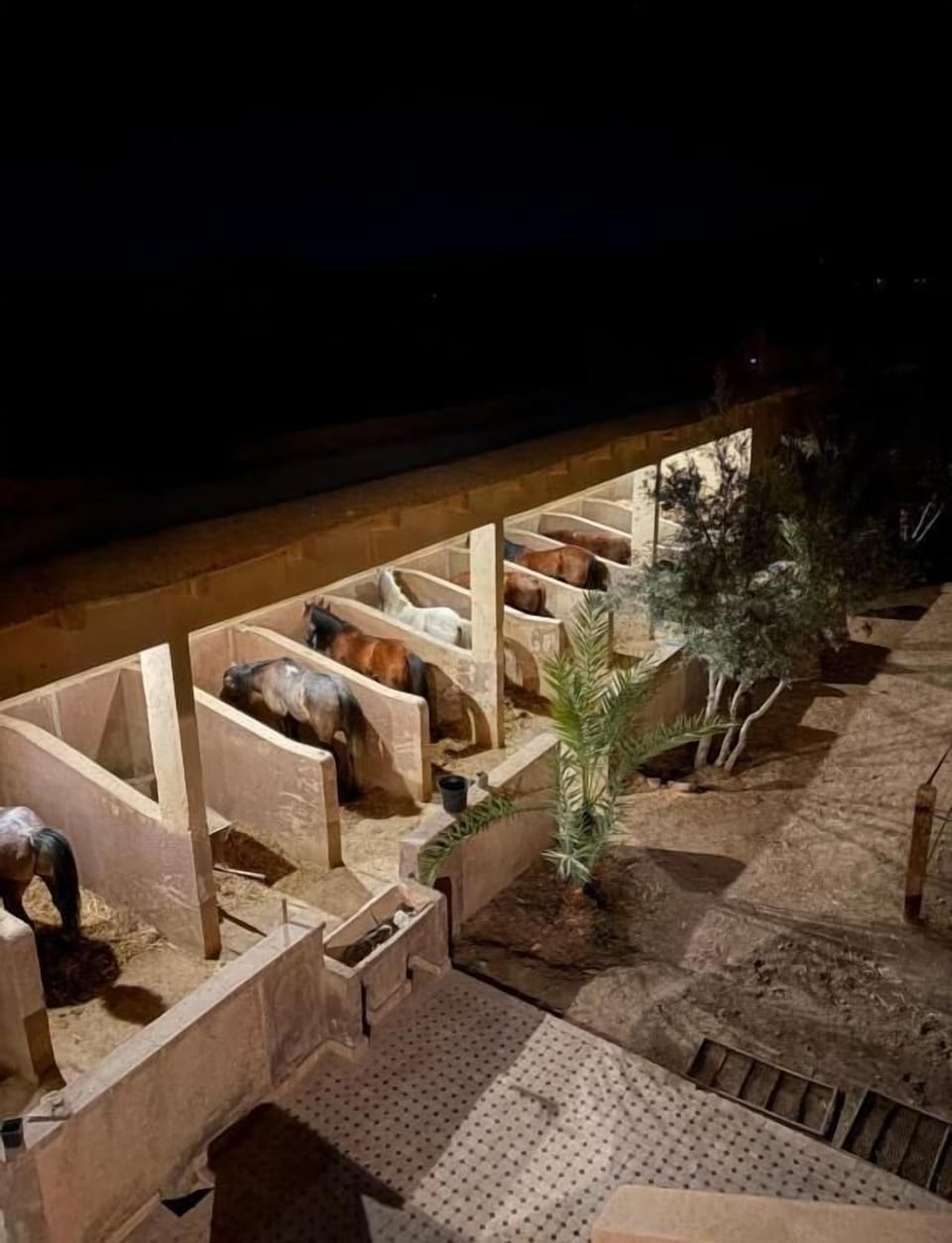 House, Balcony, Garden View | Miscellaneous