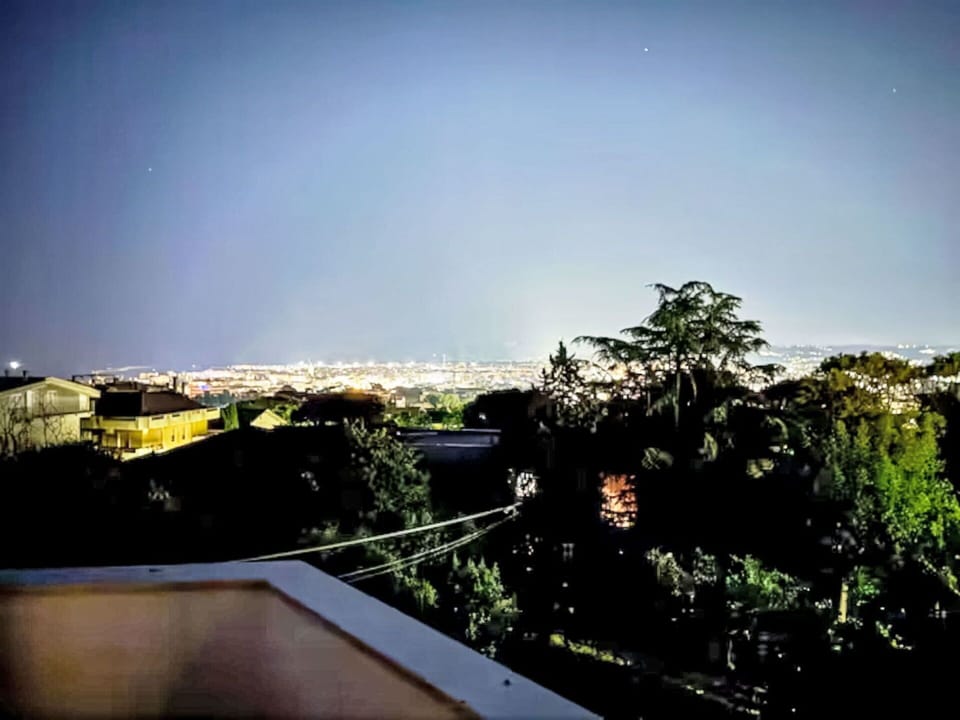 Nature, Horizon, Landscape, Roof, Evening, Suburb, Night, Dusk, Skyline