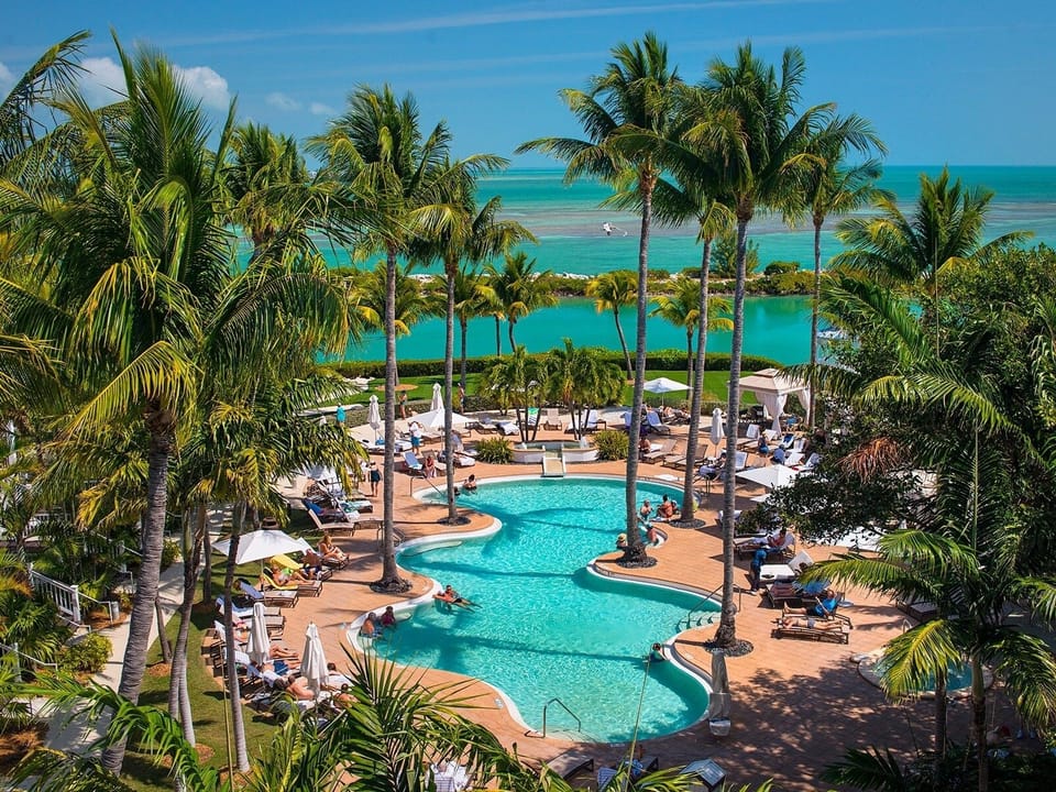 Dive into sparkling lagoon views framed by swaying palms.