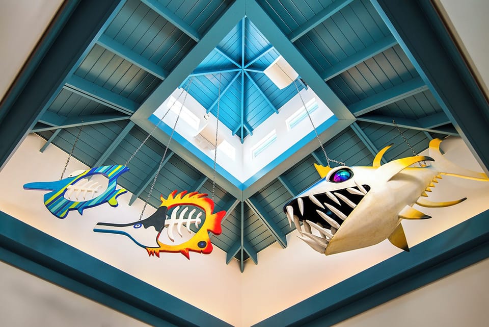 Look up and enjoy playful coastal design details overhead.