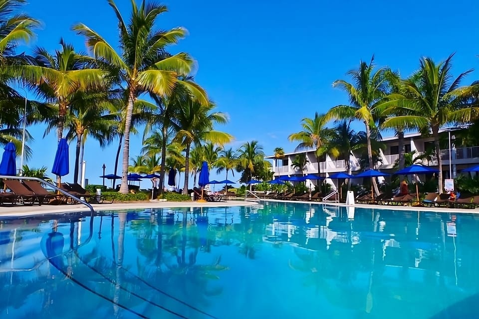 Dive into crystal-clear waters under swaying tropical palms.