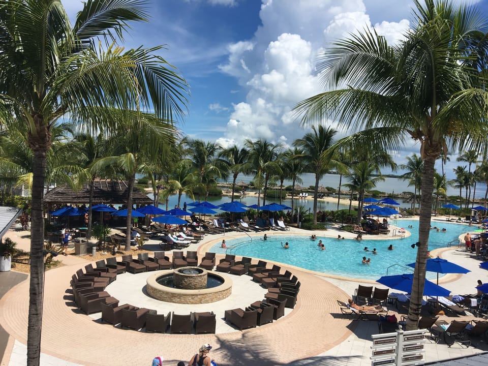 Soak up the buzz with loungers, palms, and ocean breezes.