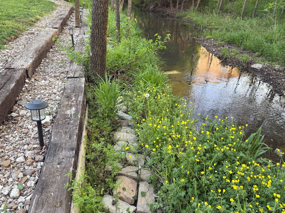 Backyard creek with a stone-lined path and peaceful wooded views.
