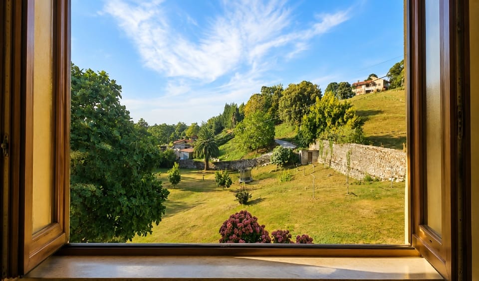 Garden view