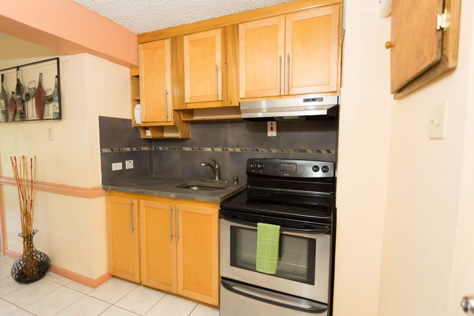 Apartment, City View, Executive Level | Private kitchen | Full-size fridge, microwave, oven, stovetop
