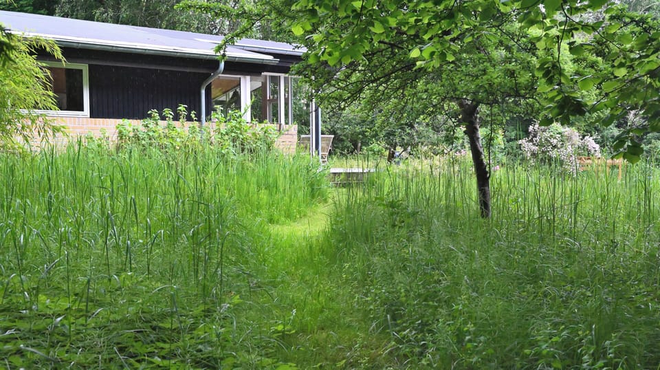 Sti til sydvendt terrasse ved udestuen 