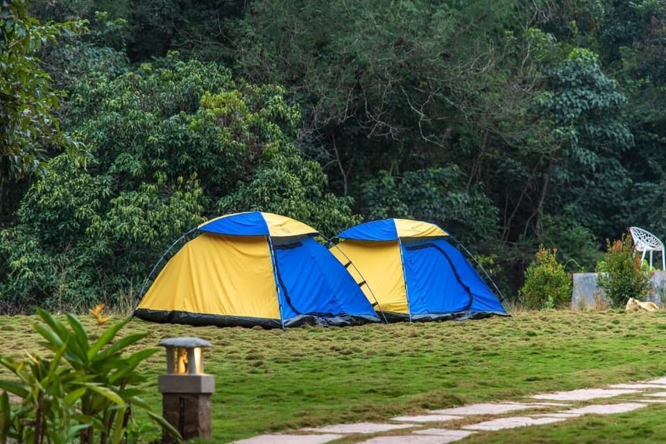 Basic Tent | Property grounds