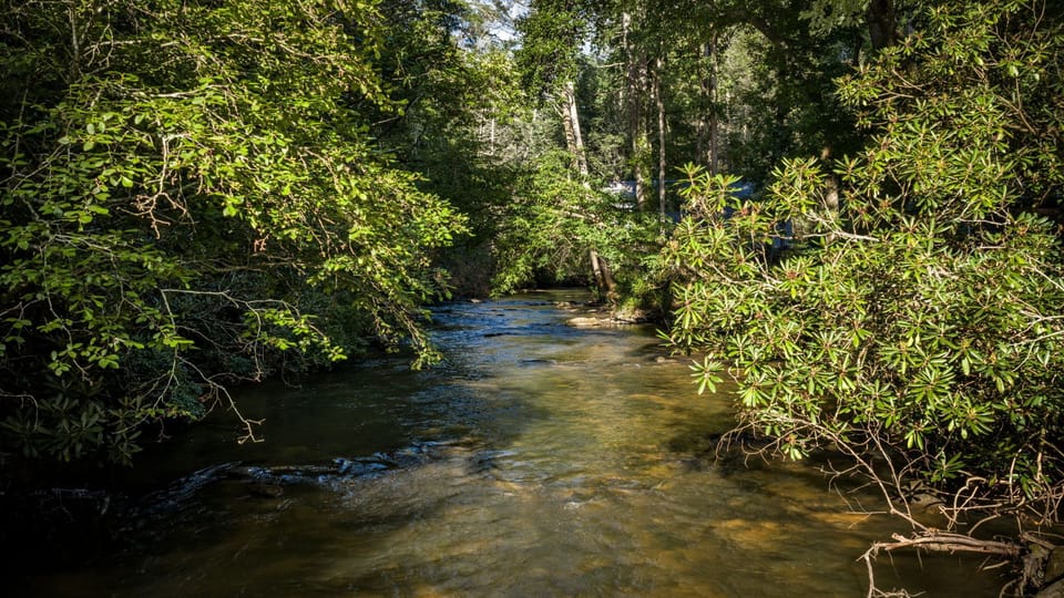 The creek doesn't shout for attention, it just quietly becomes your favorite part of the trip.