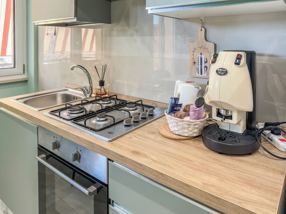 Apartment, Balcony, City View | Private kitchen