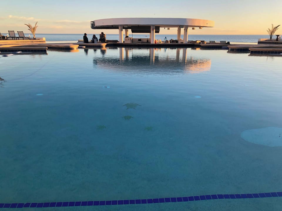 🌅✨ Peaceful mornings, sparkling waters, and beautiful beach vibes! 🏝️💦☀️