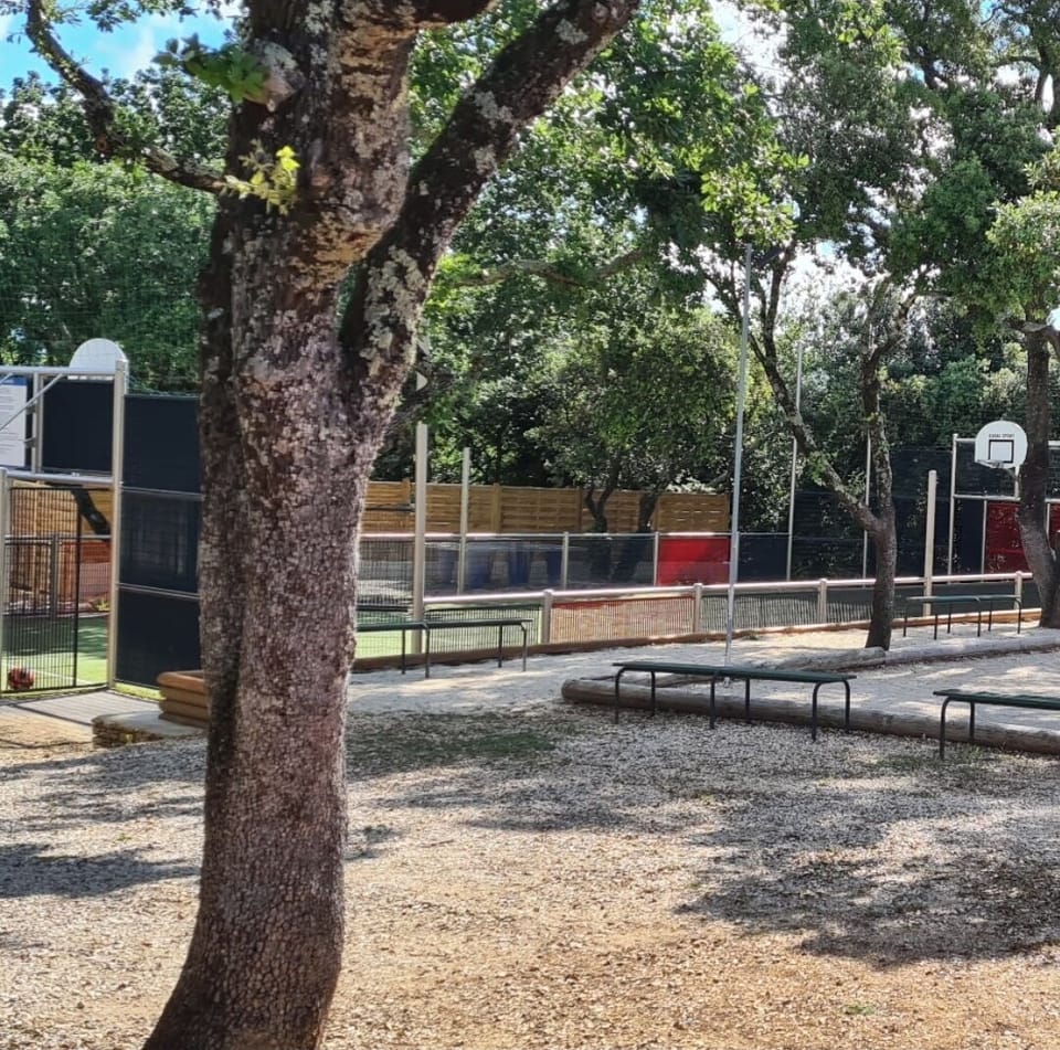 Sport court