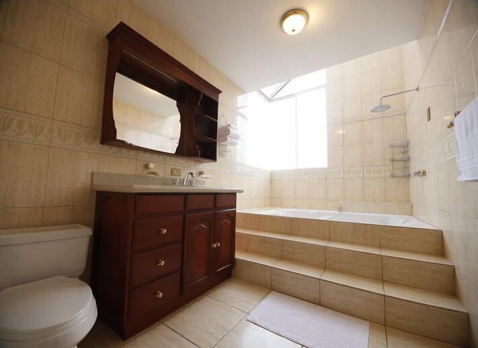 Luxury Suite | Bathroom | Free toiletries, hair dryer, towels