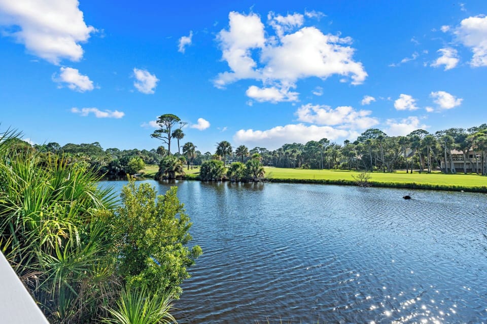 Lagoon