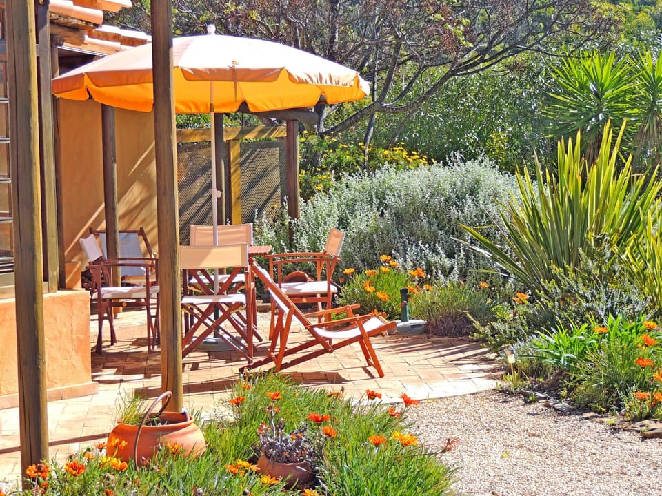 Cozy outdoor corner with table and chairs, surrounded by lush greenery, perfect for meals, reading and peaceful relaxation in a natural setting.