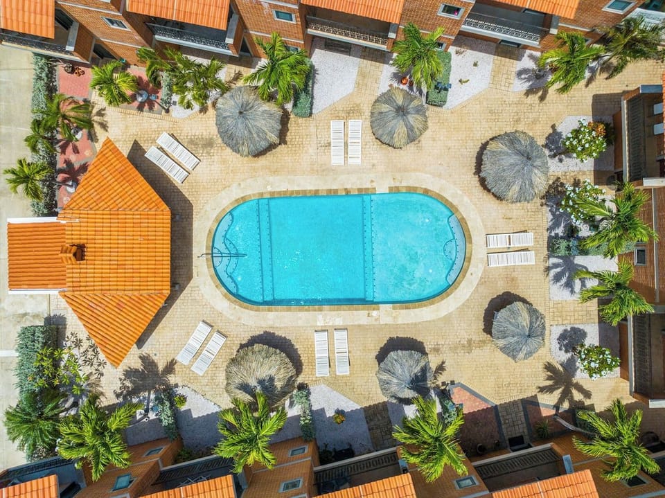 Big Pool and Palapas