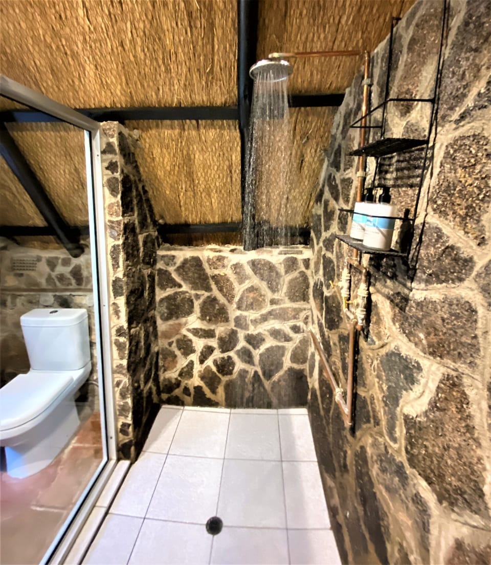 Standard Double or Twin Room, Mountain View | Bathroom shower