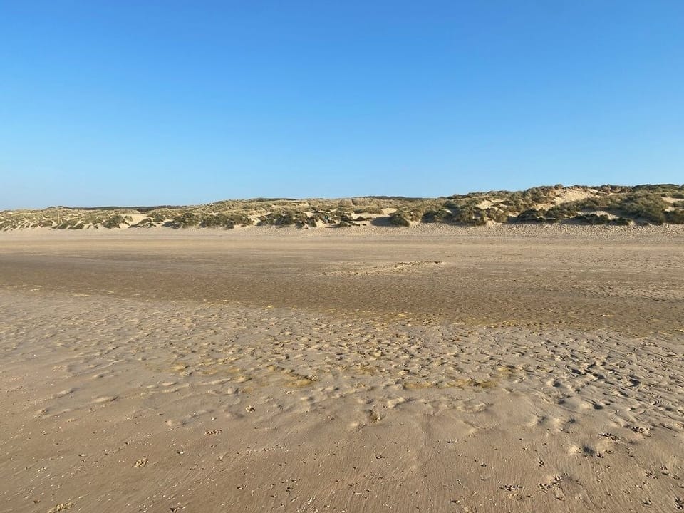 wide beaches when the tide is out! Perfect for that morning dog walk.